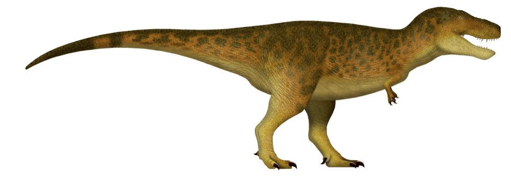 Tarbosaurus — illustration