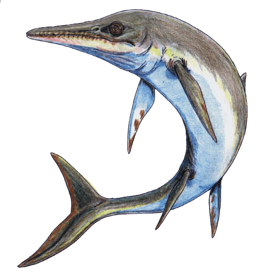 Temnodontosaurus — illustration