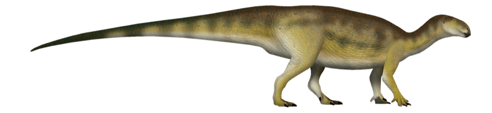 Tenontosaurus