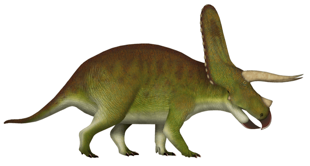 Torosaurus