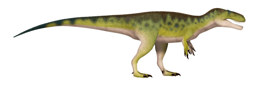 Torvosaurus — illustration