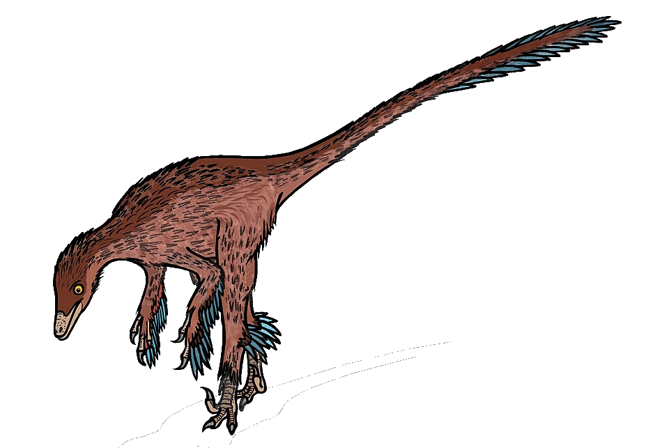 Troodon