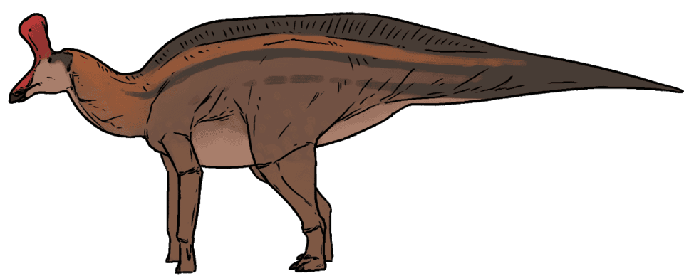 Tsintaosaurus — illustration