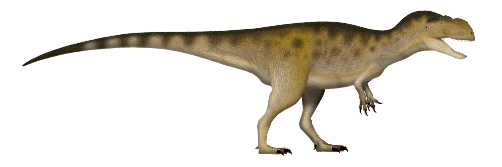 Yangchuanosaurus