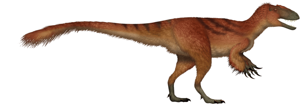 Yutyrannus — illustration