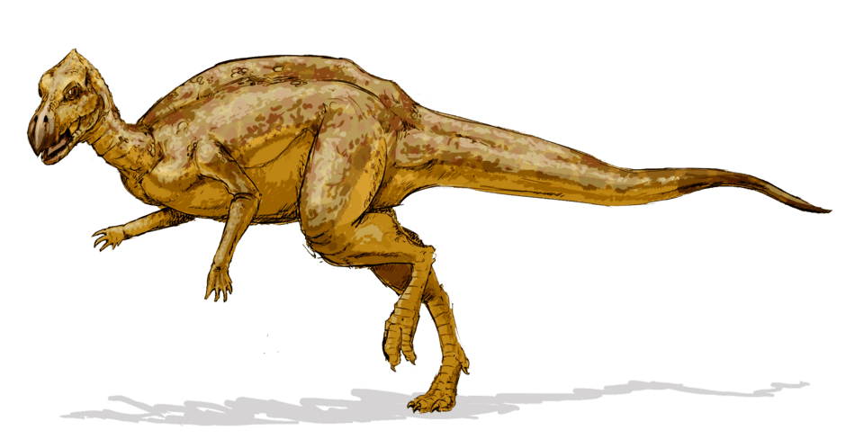 Zalmoxes — illustration